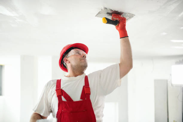 Best Custom Drywall Patching  in Honeoye Falls, NY